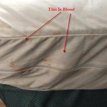 Motel 6 - This is Blood on my bed when I pulled back the sheets to inspect upon arrival. - Hotels Near Me - Glendale, Wisconsin