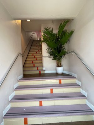 Plain Spoke Cocktail Company by null