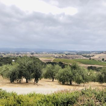 Kiler Ridge Olive Oil - a view of the countryside - Olive Oil Near Me - Paso Robles, California Kiler Ridge Olive Oil - a view of the countryside - Olive Oil Near Me - Paso Robles, California