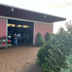 Fox Ridge Tree Farm