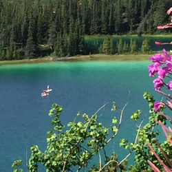 Whitehorse Who What Where Tours - Carcross - Fantastic Emerald Lake