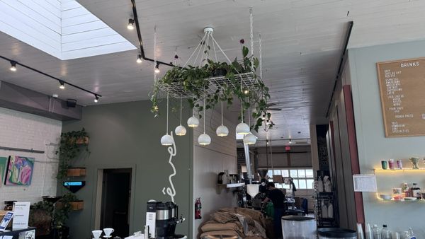 Rêve Coffee Roasters by null