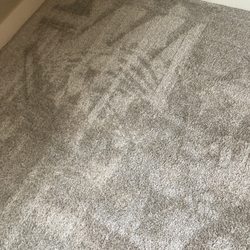 L & N Carpet Cleaning - Clean carpet