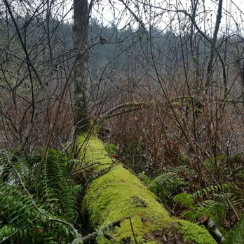 BPA Trail - Hiking Near Me BPA Trail - Hiking Near Me