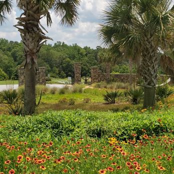 South Carolina Botanical Garden - Botanical Gardens Near Me - Clemson, South Carolina South Carolina Botanical Garden - Botanical Gardens Near Me - Clemson, South Carolina