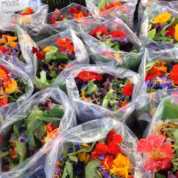 Downtown Berkeley Farmers' Market - Farmers Market Near Me - Berkeley, California Downtown Berkeley Farmers' Market - Farmers Market Near Me - Berkeley, California