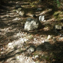 Burrillville Wildlife Area