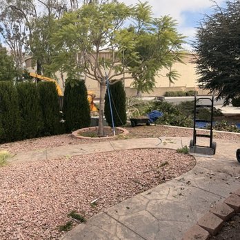 Vista Del Rey Tree Services - Jacaranda and junipers trimmed. - Tree Services Near Me - Vista, California Vista Del Rey Tree Services - Jacaranda and junipers trimmed. - Tree Services Near Me - Vista, California