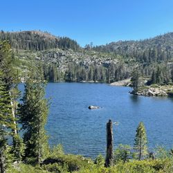 Gold Lake Stable & Pack Station - Big Bear Lake