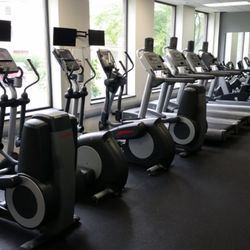 Pinnacle Training & Fitness - Cardio suite- 4 ellipticals, 4 treadmills, 2 bikes and 1 Concept2 erg