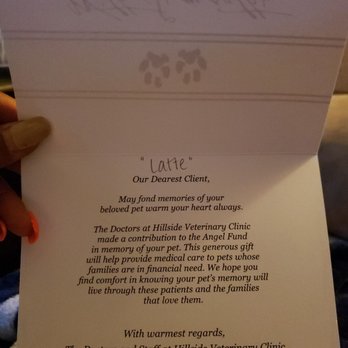 Hillside Veterinary Clinic - I'm overjoyed!!! - Veterinarians Near Me - Dallas, Texas Hillside Veterinary Clinic - I'm overjoyed!!! - Veterinarians Near Me - Dallas, Texas