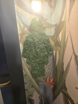 Succulent Fine Dining by null