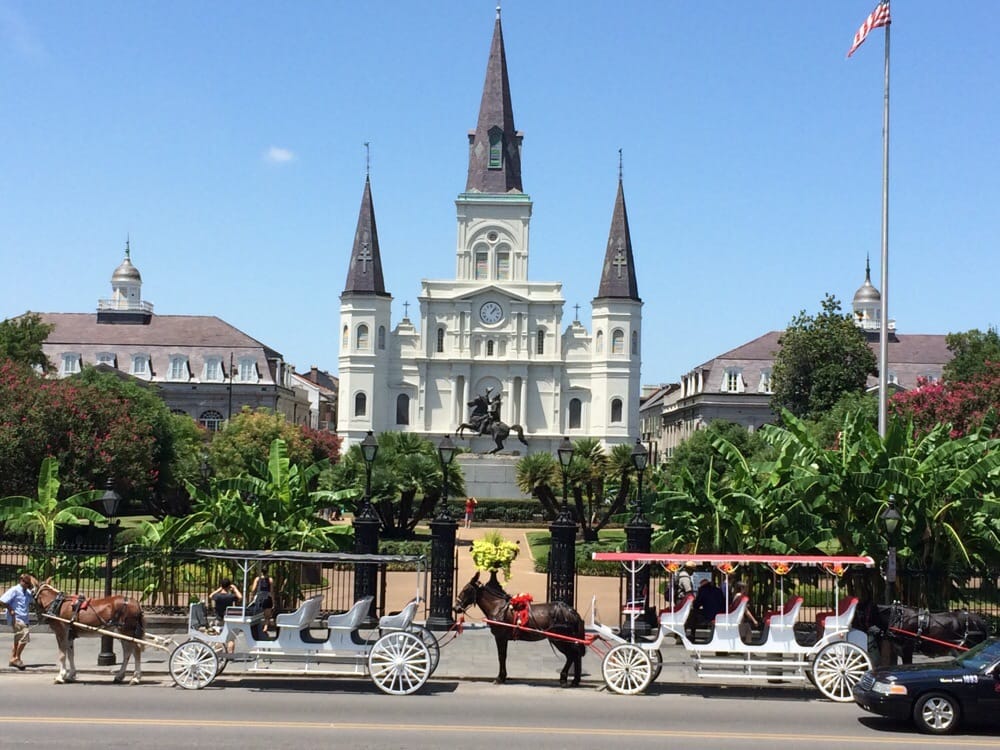 Carriage Rides by Robin Coffey, New Orleans Roadtrippers