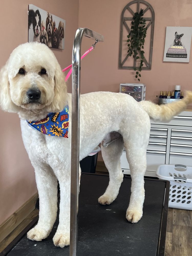 IT’S ALL ABOUT ME GROOMING SPA Updated July 2024 Request an