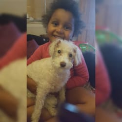 pampered pets south croydon