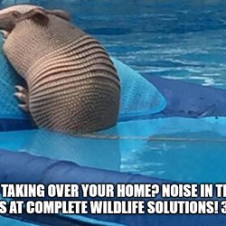 Complete Wildlife Solutions