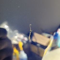 Clean Express Auto Wash - Allison Park - Deep scratch they wouldn't fix