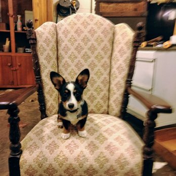 Elizabeth Antique Restoration - Picasso the Top Dog Shop Dog inspecting a Victorian chair repair. - Refinishing Services Near Me - Matthews, North Carolina Elizabeth Antique Restoration - Picasso the Top Dog Shop Dog inspecting a Victorian chair repair. - Refinishing Services Near Me - Matthews, North Carolina