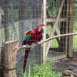 Baton Rouge Zoo
