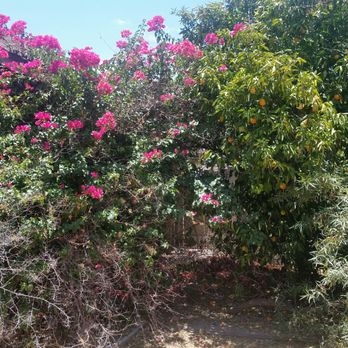 Garnicas Landscaping - Before - Gardeners Near Me Garnicas Landscaping - Before - Gardeners Near Me