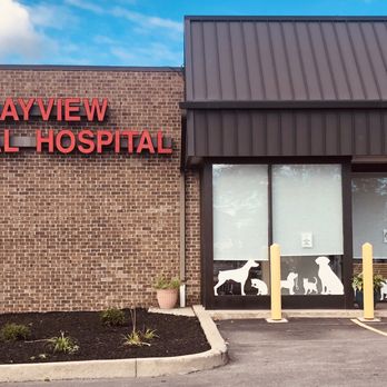 Bayview Animal Hospital - Veterinarians Near Me - Webster, New York Bayview Animal Hospital - Veterinarians Near Me - Webster, New York