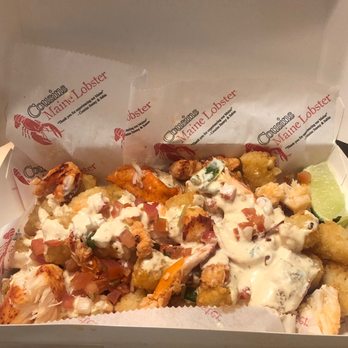Cousins Maine Lobster - Austin - Lobster tots - Seafood Near Me Cousins Maine Lobster - Austin - Lobster tots - Seafood Near Me