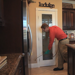 Bull's Eye Pest Control