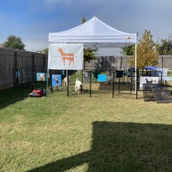 Homestead Mobile Petting Zoo & Party Rental - Birthday party setup in a backyard