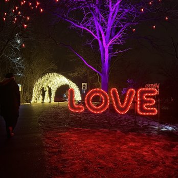 Winter Lights at Central Park - Parks Near Me - Oak Brook, Illinois Winter Lights at Central Park - Parks Near Me - Oak Brook, Illinois