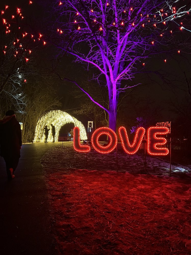 Winter Lights at Central Park Logo