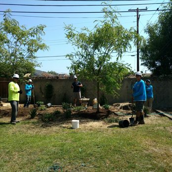 Moon Valley Nurseries - A posed picture! In between they work hard! - Tree Services Near Me - Chino, California Moon Valley Nurseries - A posed picture! In between they work hard! - Tree Services Near Me - Chino, California