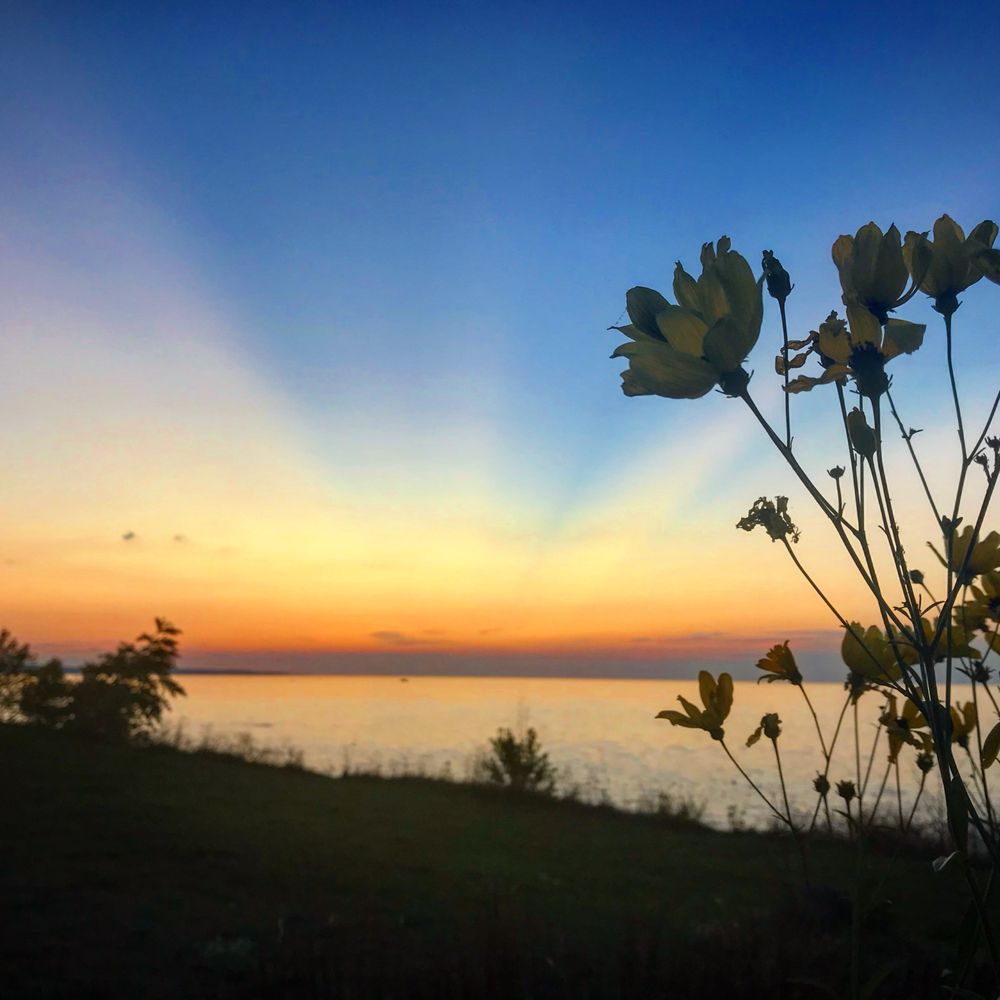 Bay Front Park - Parks Near Me - Petoskey, Michigan Bay Front Park - Parks Near Me - Petoskey, Michigan