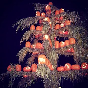 Vala's Pumpkin Patch - Halloween tree - Venues & Event Spaces Near Me - Gretna, Nebraska