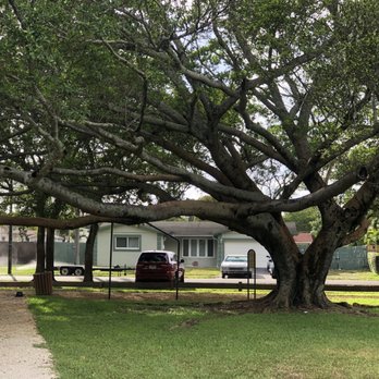 Park East Park - Parks Near Me - Plantation, Florida Park East Park - Parks Near Me - Plantation, Florida