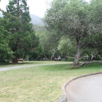 San Pedro Valley Park - Lots of space for picnics and hanging out in the sun or shade - Parks Near Me - Pacifica, California