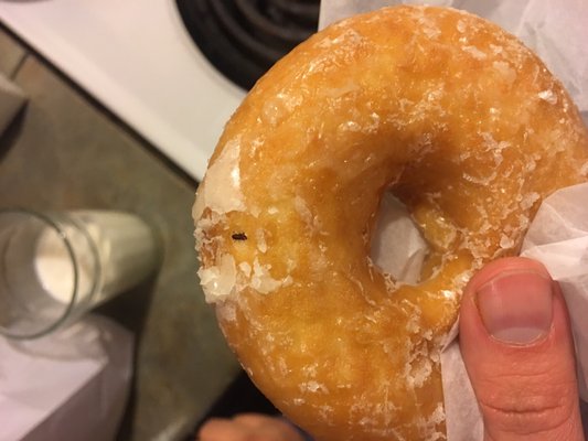 Shipley Do-Nuts by null