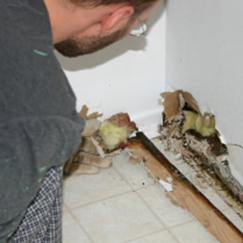Active Mold Control - Environmental Abatement Near Me - Portland, Oregon Active Mold Control - Environmental Abatement Near Me - Portland, Oregon