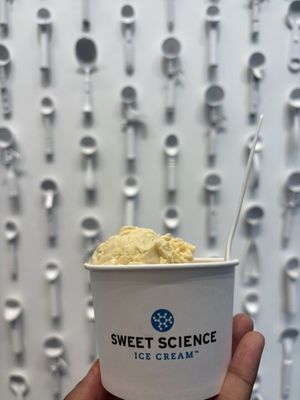 Sweet Science Ice Cream by null Sweet Science Ice Cream by null