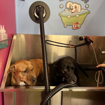 Ruff Day Dog Wash - Pet Groomers Near Me - Canton, Connecticut