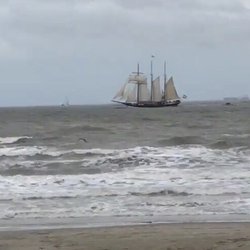 Galveston Historical Foundation