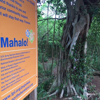 Ehukai Pillbox Hike - Trail entrance: on left side of parking lot @ Sunset Elementary. - Hiking Near Me - Haleiwa, Hawaii