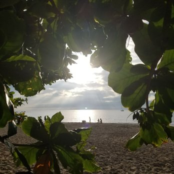 Mauna Pea Public Beach - It rained for a short time and we took refuge under these trees - Beaches Near Me - Waimea, Hawaii