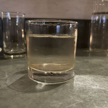 Mediterranean Exploration - White Negroni - Mediterranean Near Me - Portland, Oregon Mediterranean Exploration - White Negroni - Mediterranean Near Me - Portland, Oregon