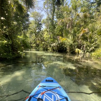 Florida Paddle Excursions - Paddleboarding Near Me - Apopka, Florida