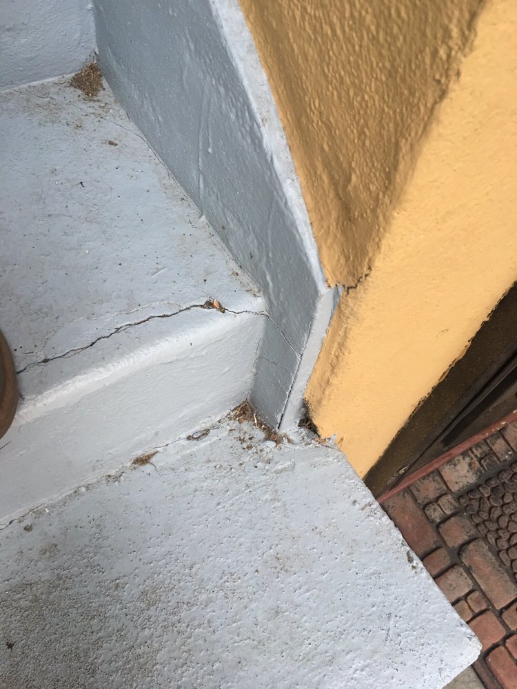 THE ORCHARDSTHE MAPLES Updated June 2024 450 W Monte Vista Ave