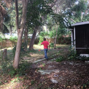 Flagler Land Management - After, bush hogging in a tight area - Tree Services Near Me - Palm Coast, Florida Flagler Land Management - After, bush hogging in a tight area - Tree Services Near Me - Palm Coast, Florida