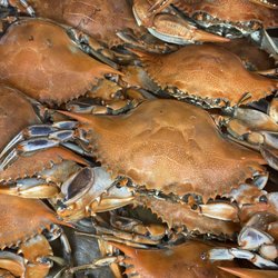 Hook'd Up Seafood - Pre cooked blue crabs