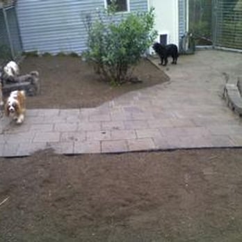 just like home boarding