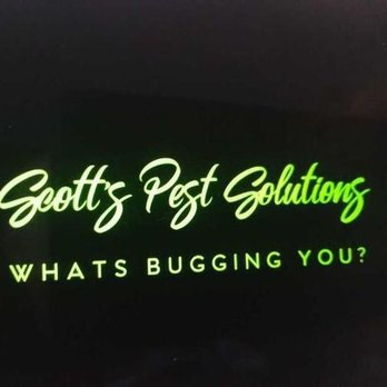 Scott’s Pest Solutions - Pest Control Near Me - Rochester, New York Scott’s Pest Solutions - Pest Control Near Me - Rochester, New York