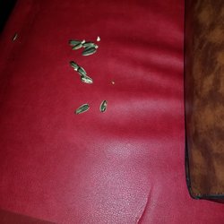 Galaxy Theatres Carson City - Bonus sunflower seeds from the last guest